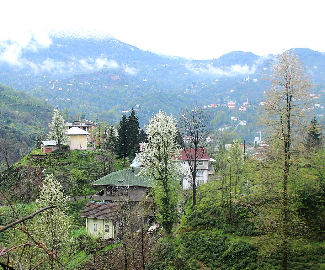 Bir yanı İlkbahar; Bir Yanı Kış