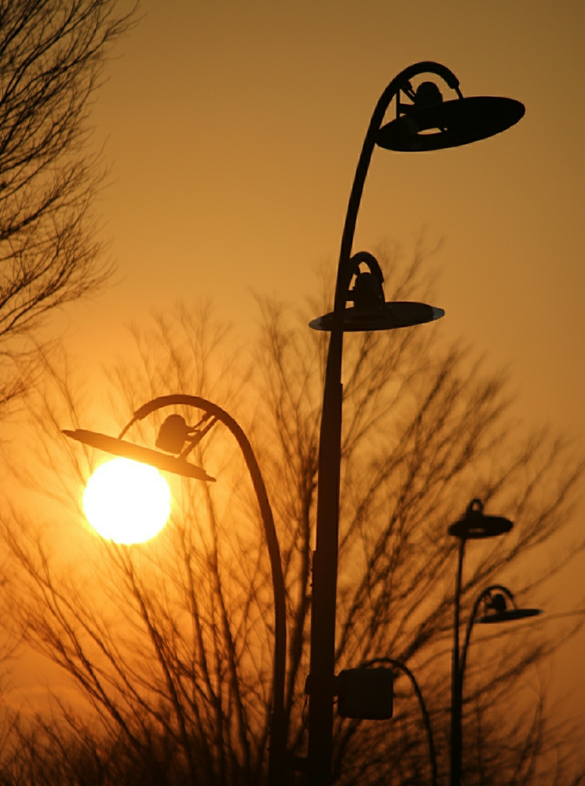 street lights