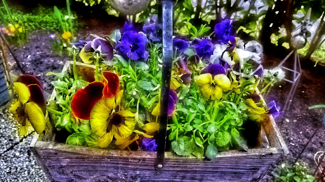 spring