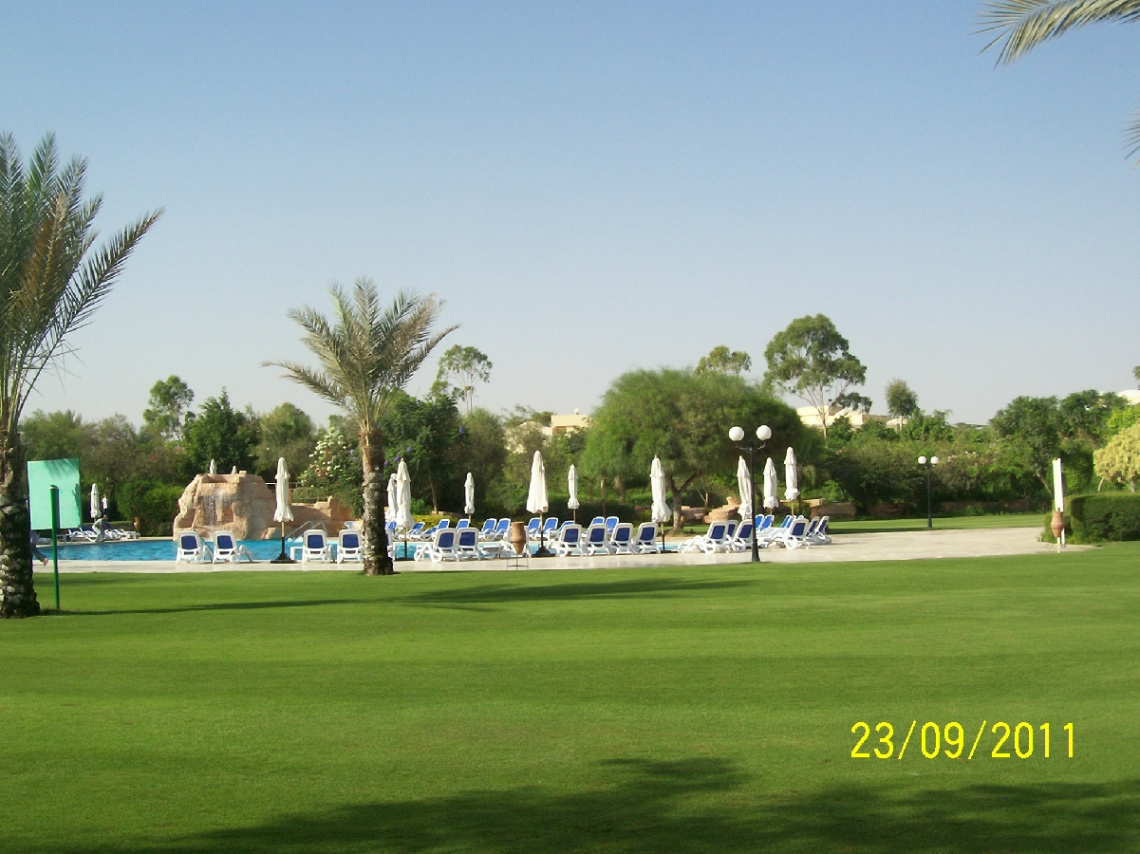 Egypt - peaceful green