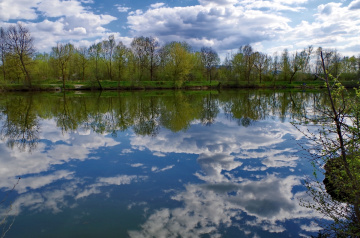 On the  lake