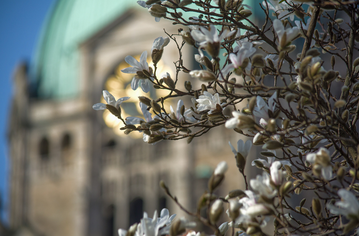 Spring in Hanover
