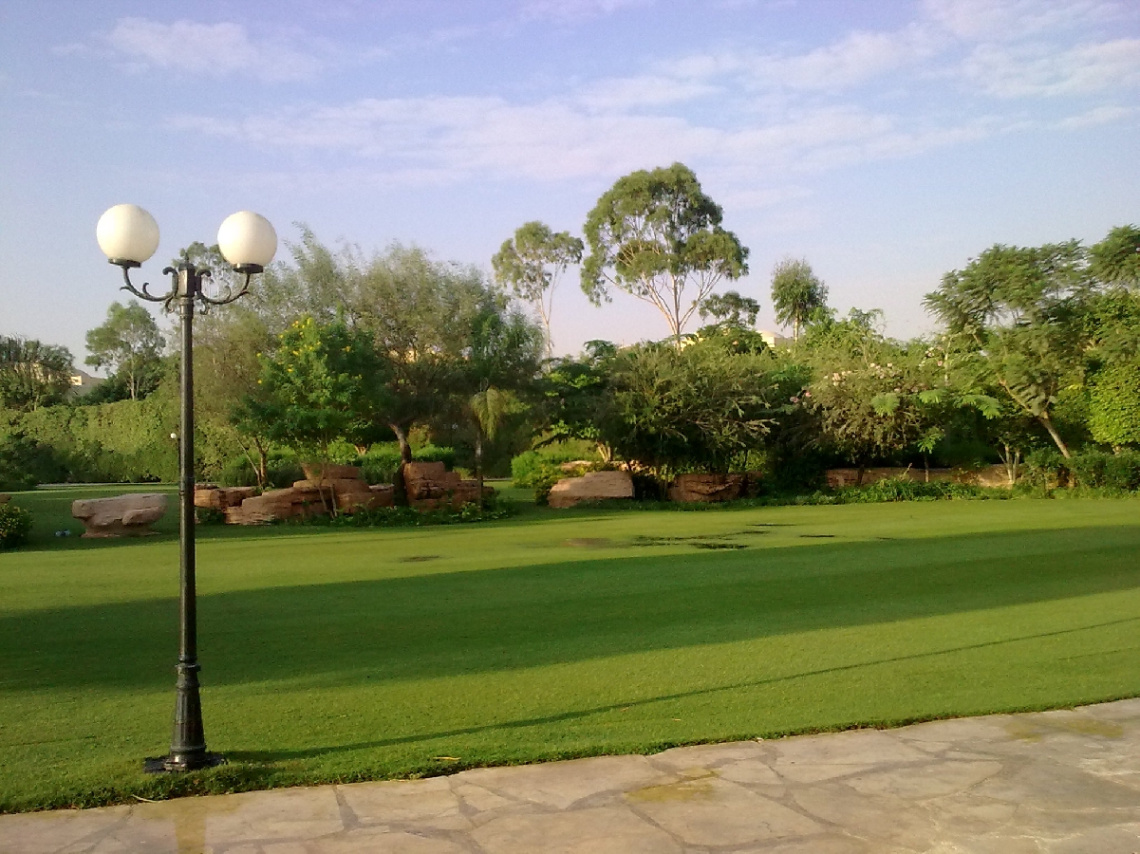 Egypt - alain alsokhna - spring time