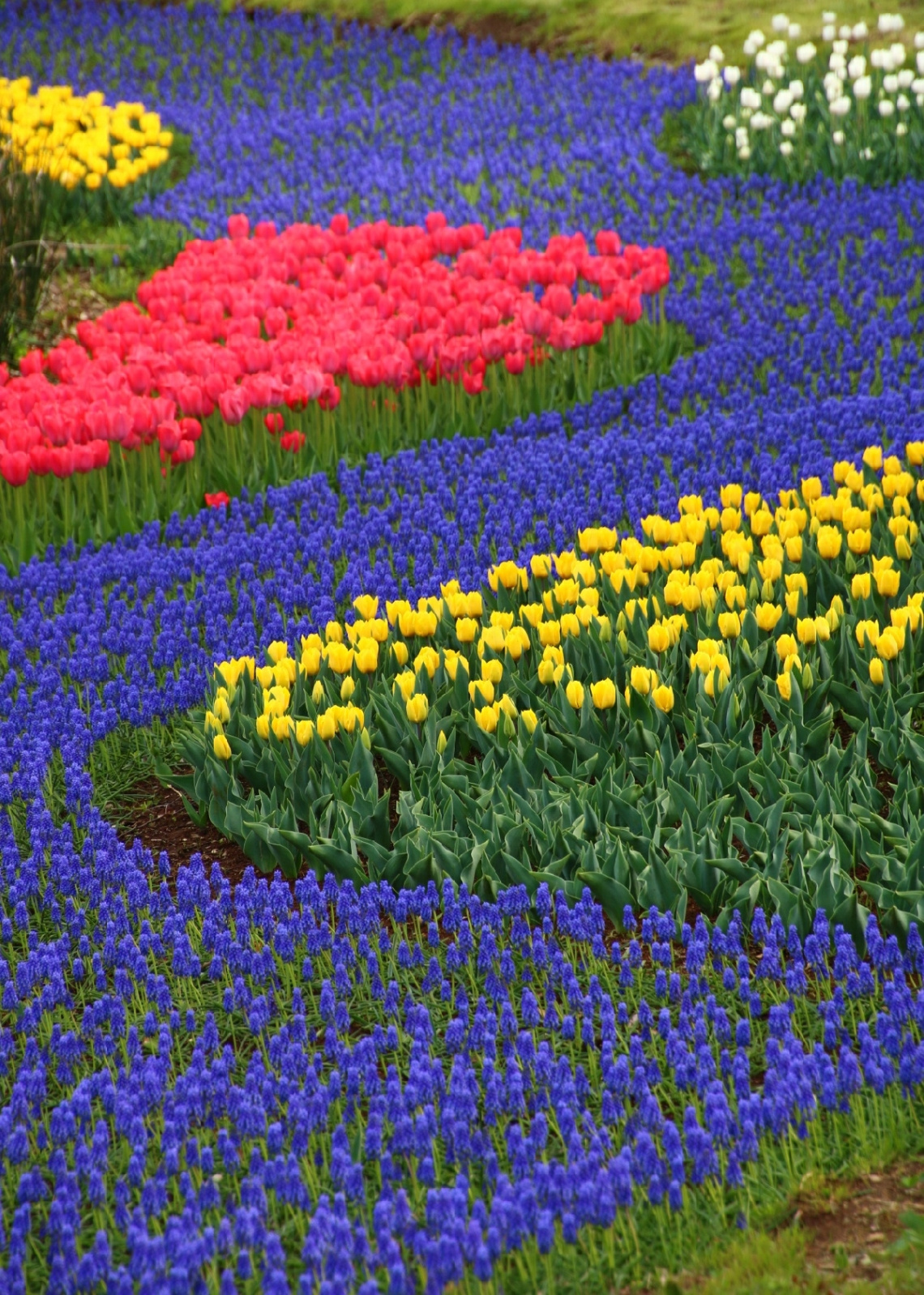 flower river