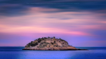 The Island