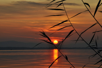 Sunrise (2)