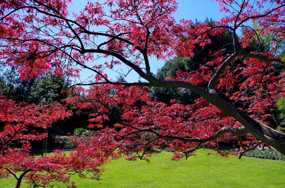 In the city park