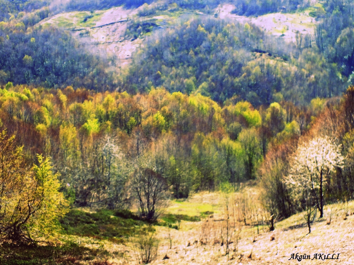 bahar gelmiş hoş gelmiş