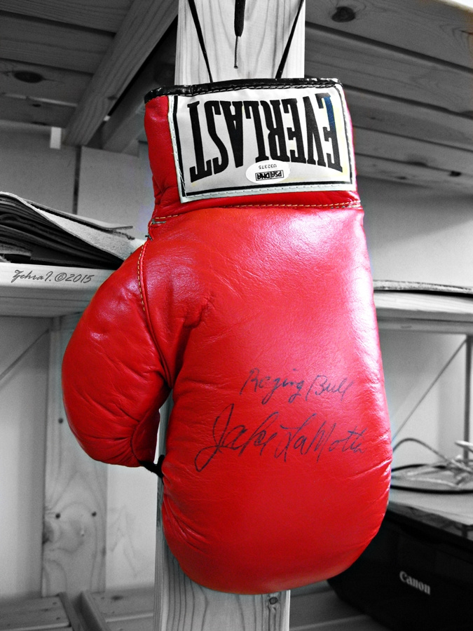 Kırmızı Boksör Eldiveni
