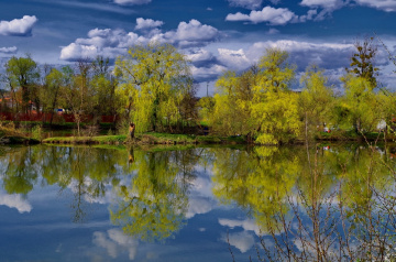 On the lake