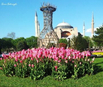 ayasofya 