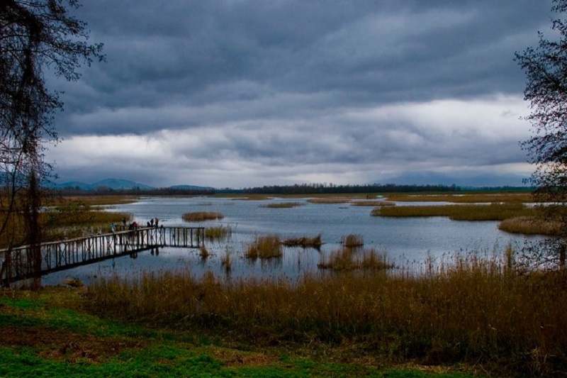 Efteni Gölü - Efteni Lake