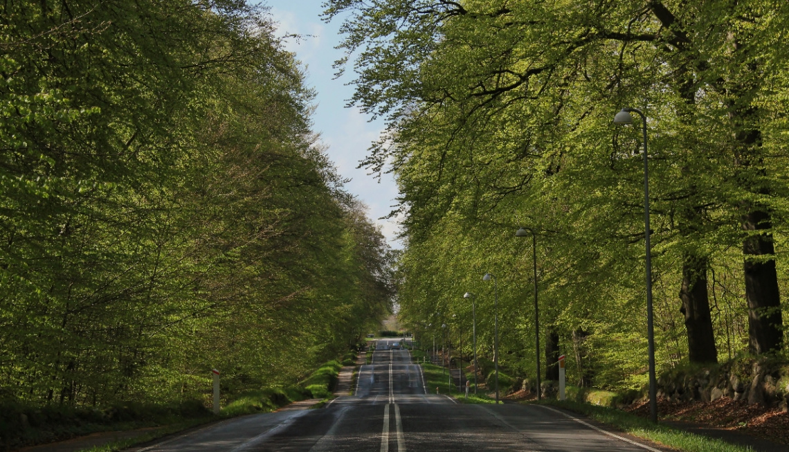 Green Passage