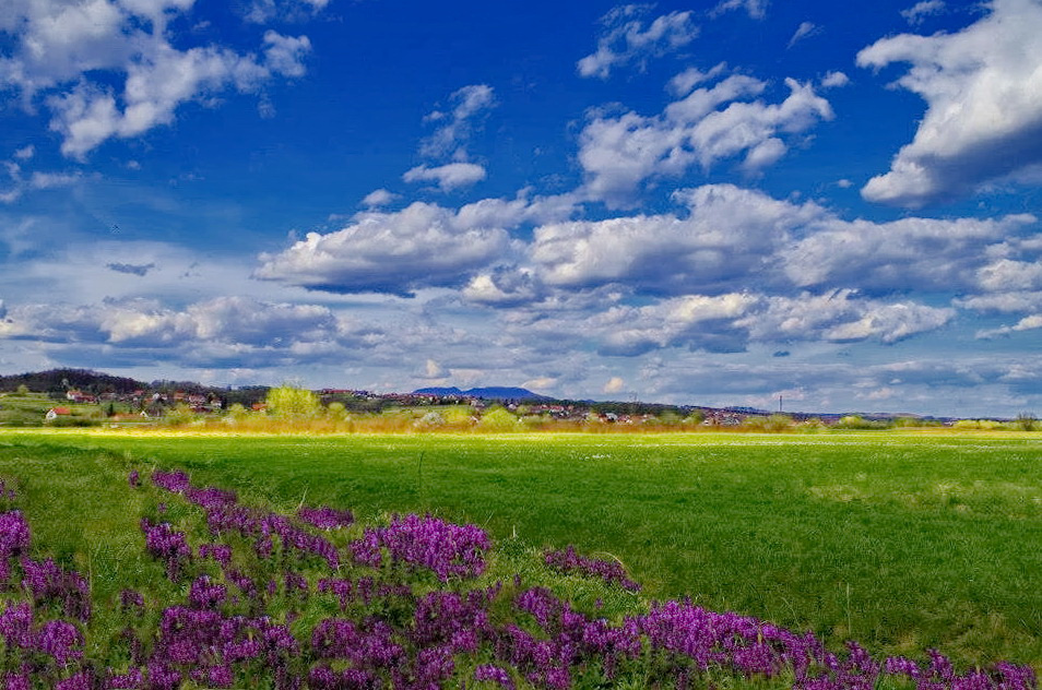 On the countryside