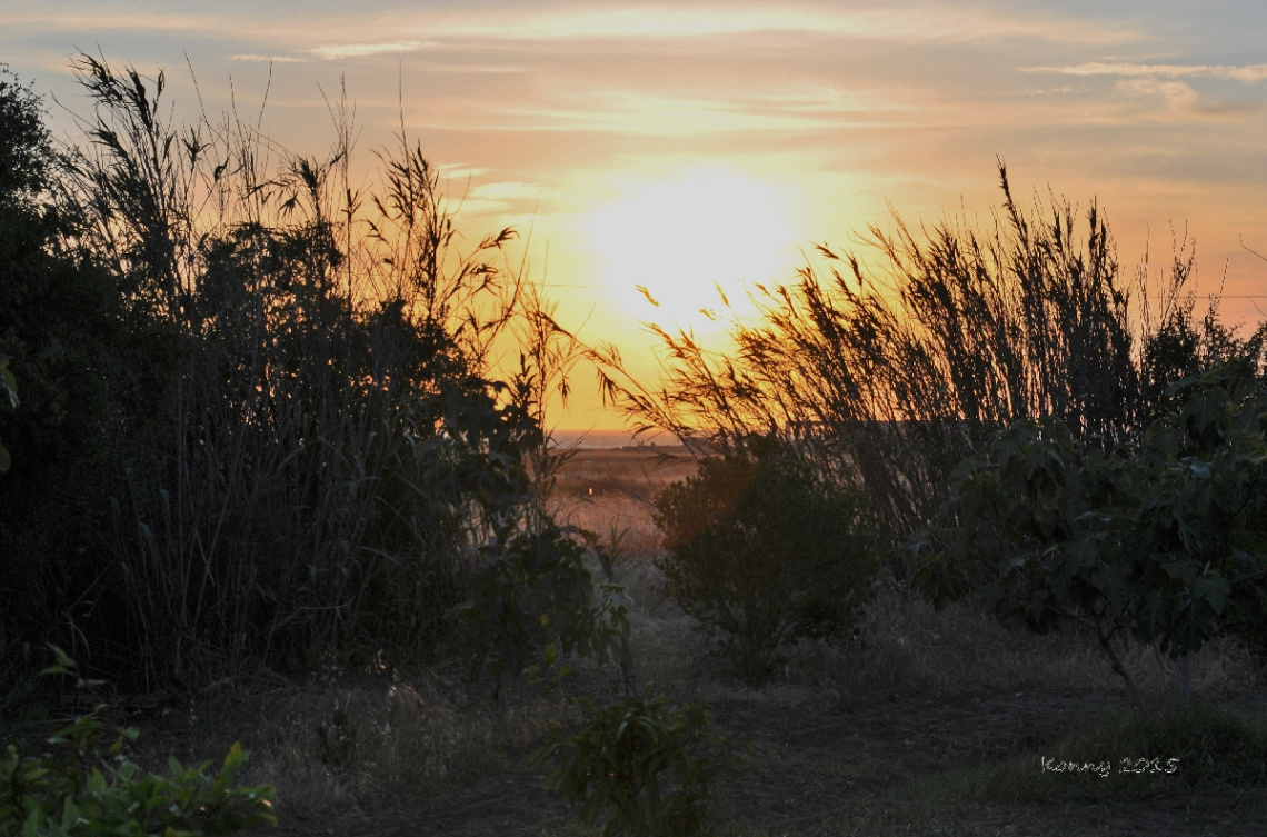sunset ... 
