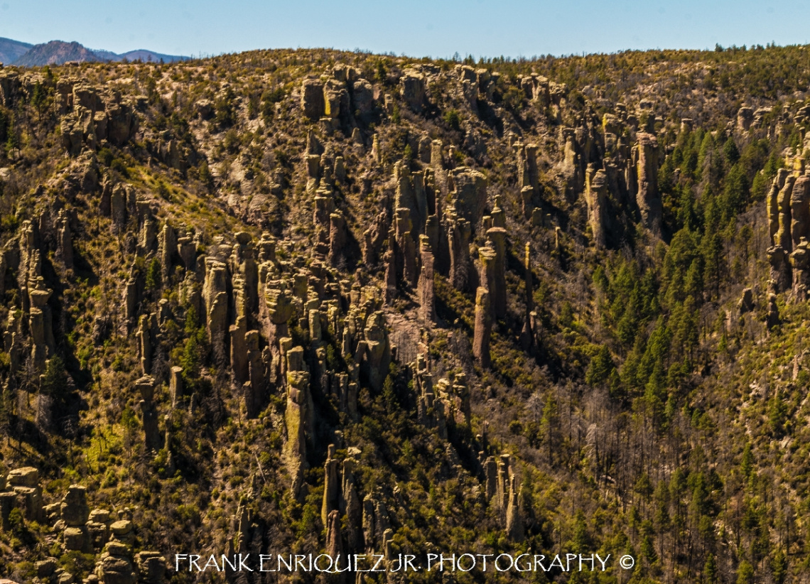 Chiricahua Chiricahua Mountains Day Trip 5/9/15