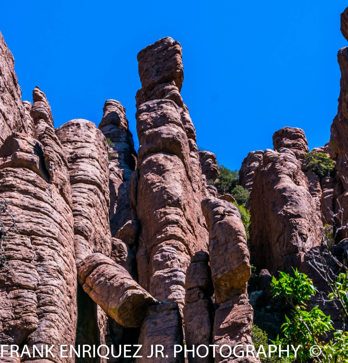  Chiricahua Mountains Day Trip 5/9/15
