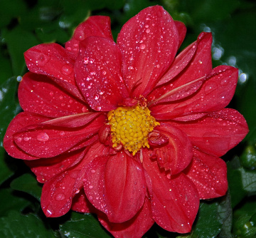 After  rain