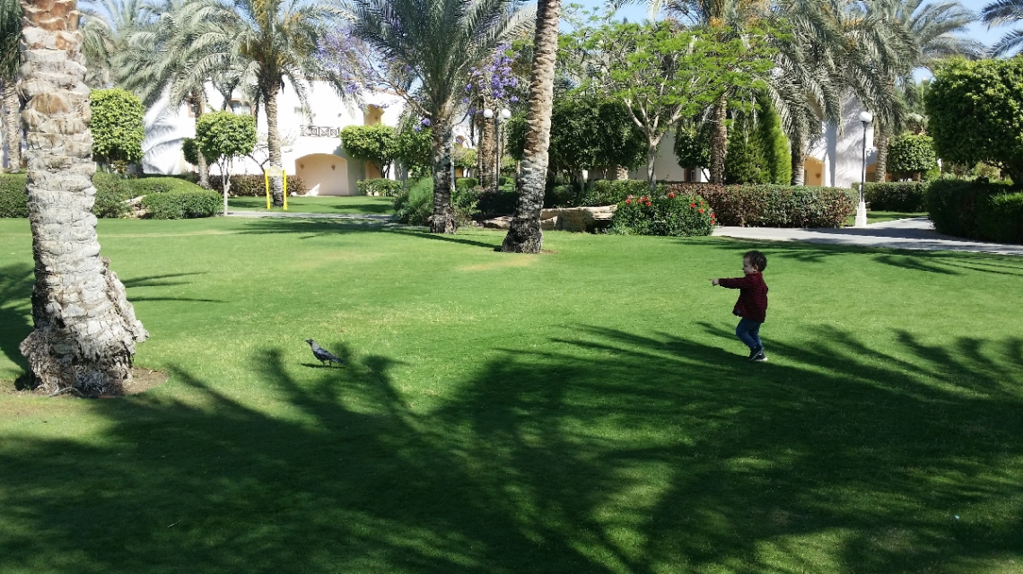 Egypt - My grand son Omar