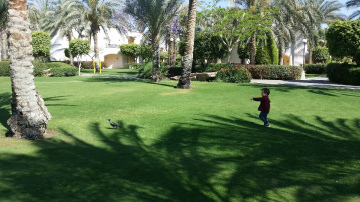 Egypt - My grand son Omar