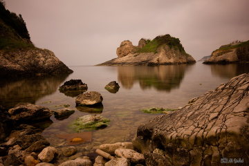 ağva