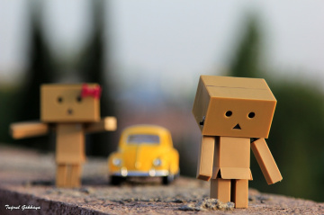 Danbo 