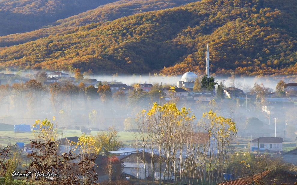 Sisler Altında-Foggy