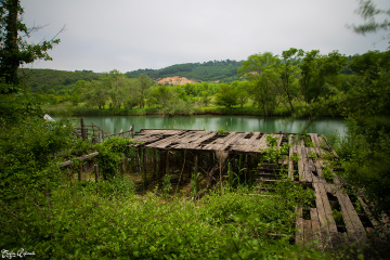 Yeşil