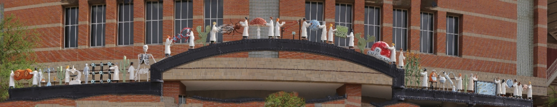 Koffler Bldg. University Of Arizona