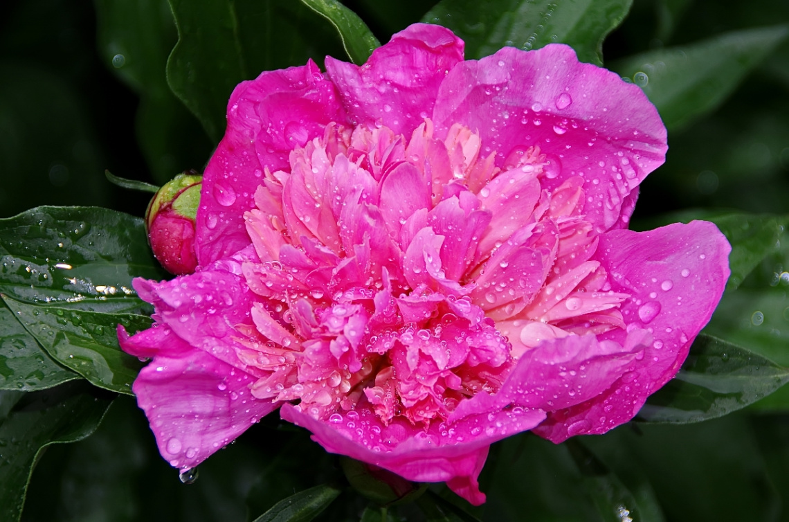After rain