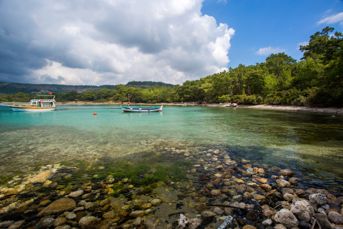 Phaselis Koyunda/ANTALYA