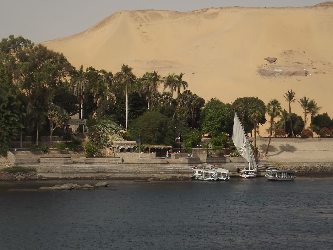 Egypt  -  Aswan - plant island