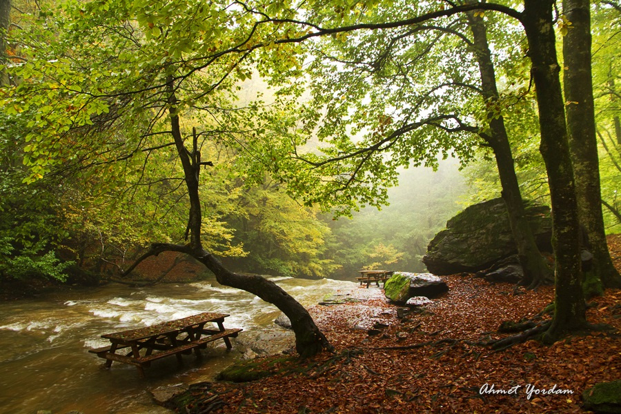 Bir Başka Bahar- Spring