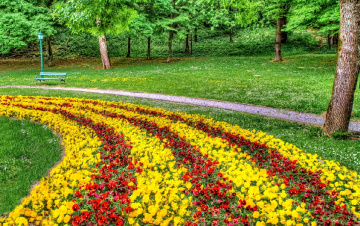 In the city park