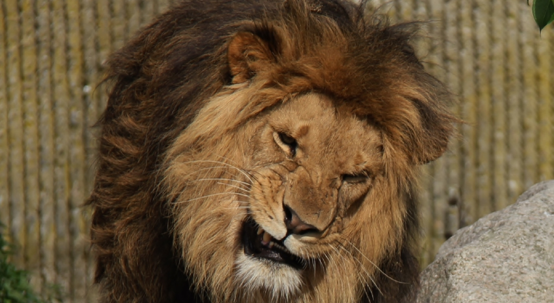  - GRRRRRR !!!!