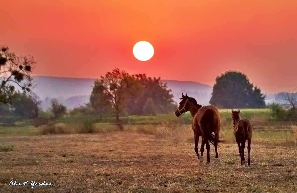 Güneşe Doğru-Towards the Sun