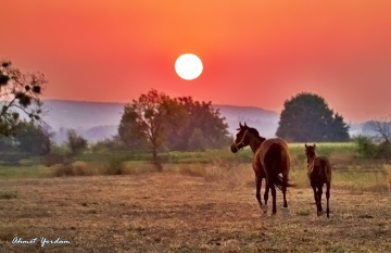 Güneşe Doğru-Towards the Sun