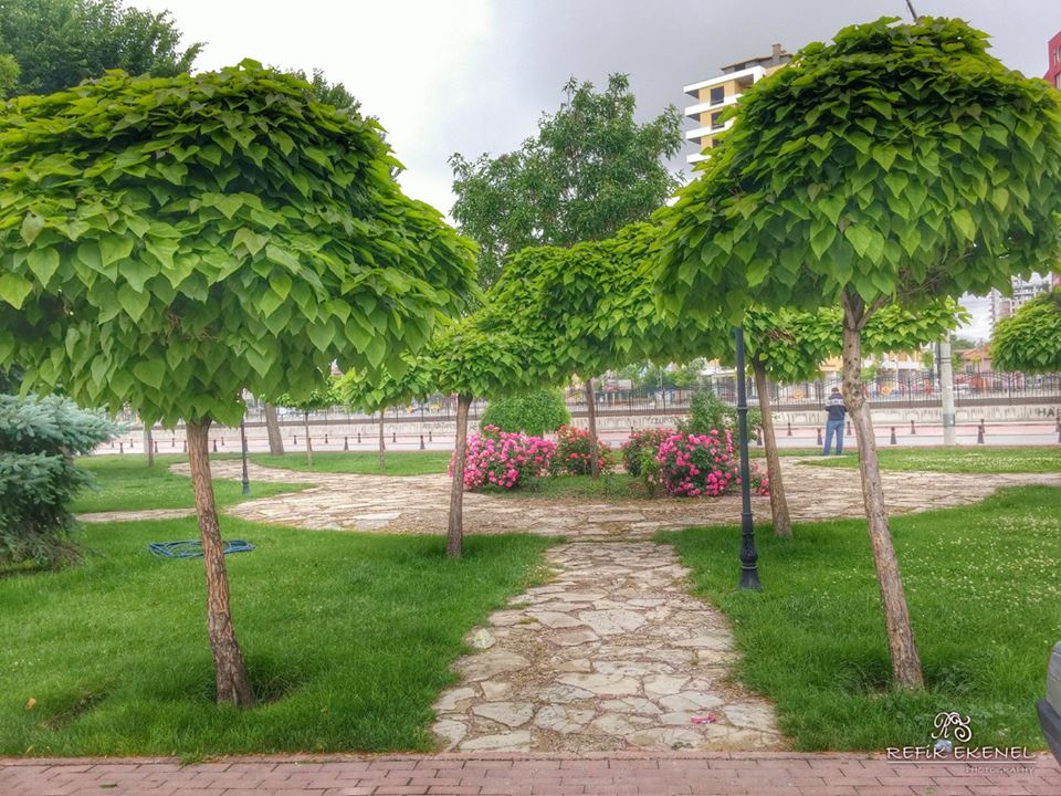 Park