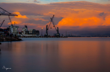 Kirazlıyalı / Kocaeli