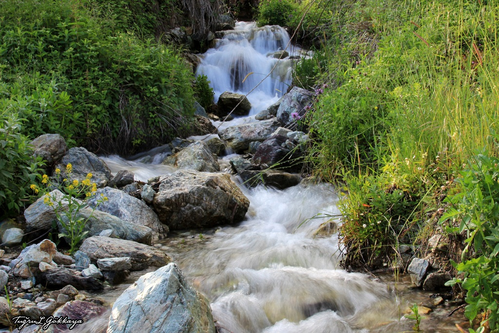 Huzur 3