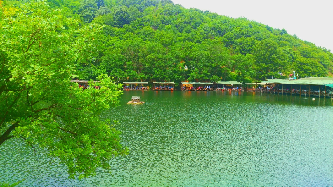 Yeşil