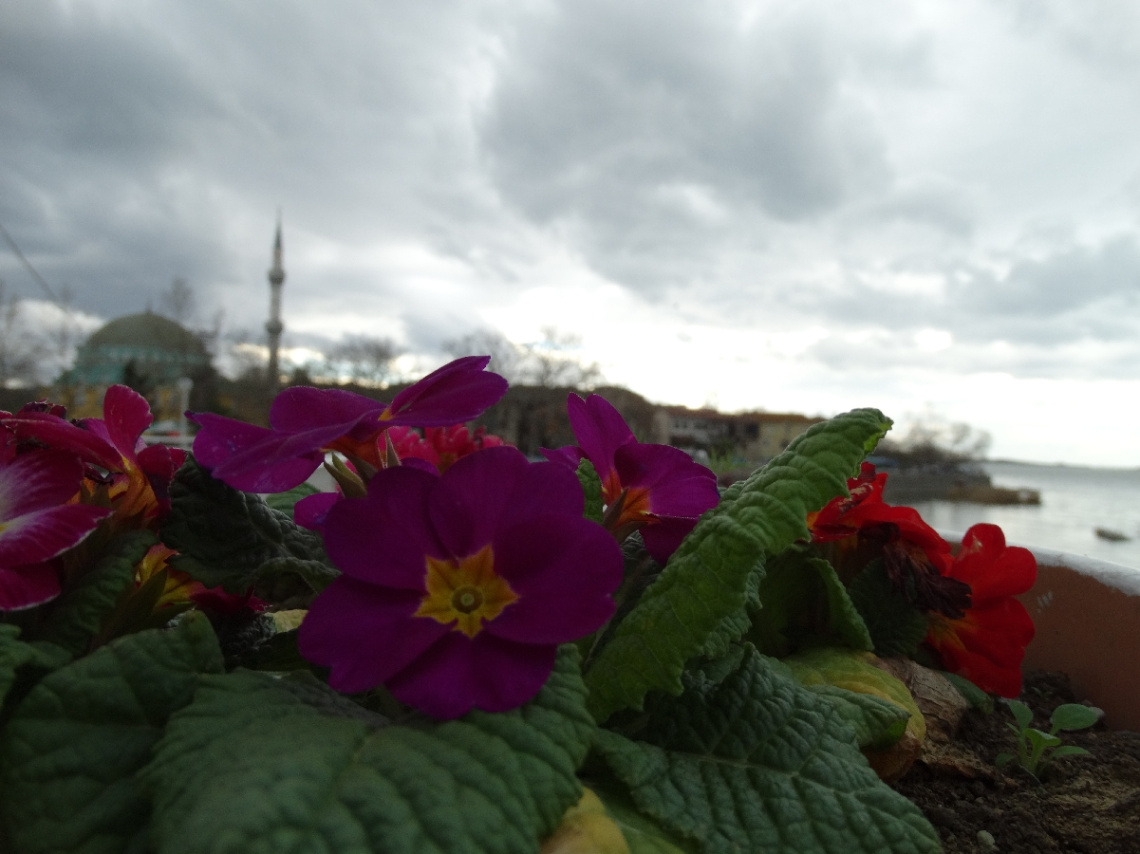 GÖLYAZI HER HALİYLE ÇOK GÜZELLLL