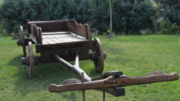Kağnı 