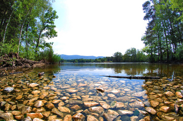 Pond - Black Water - Czech Republic