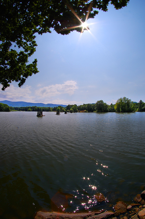 Fish pond - Black Water - Czech Republic