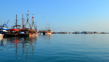 İskenderun Barınak 2