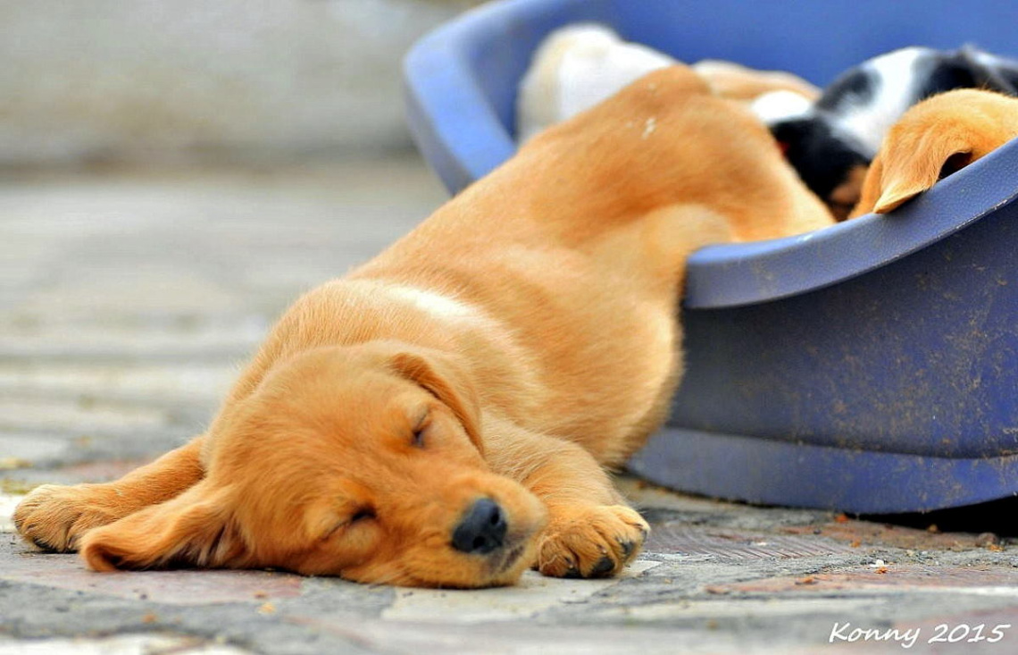 falling in sleep... :)))