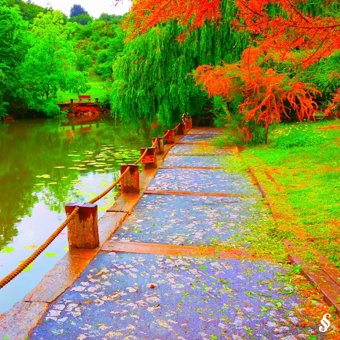 Yol