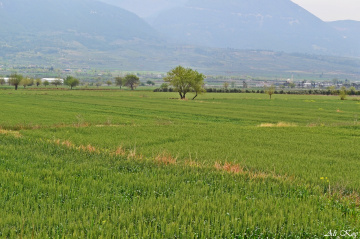 Çukurova-Osmaniye