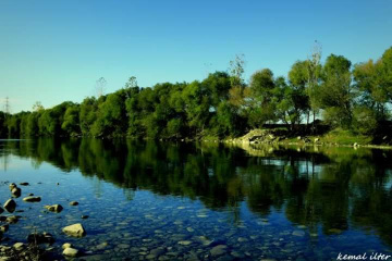 kuş cenneti